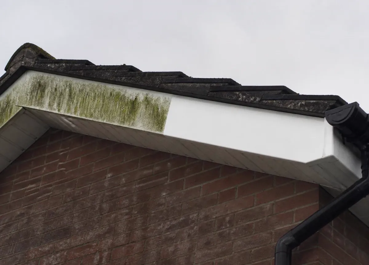 Clean white fascia and soffit boards under a house roofline